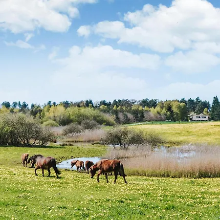 Five-bedroom In Rorvig
